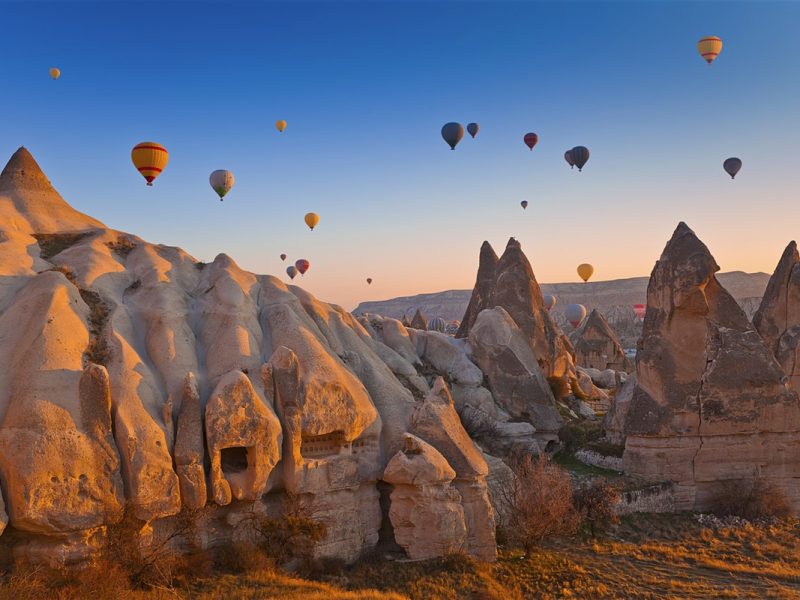 National Parks Tour One Days